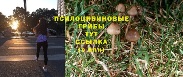 прущий лед Долгопрудный