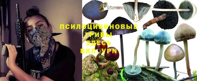 Галлюциногенные грибы MAGIC MUSHROOMS  Ак-Довурак 