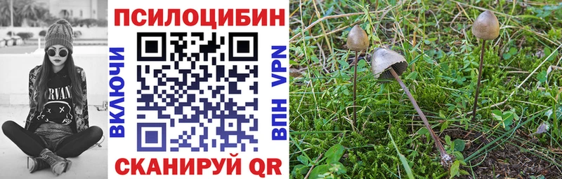 Галлюциногенные грибы прущие грибы  Ак-Довурак 