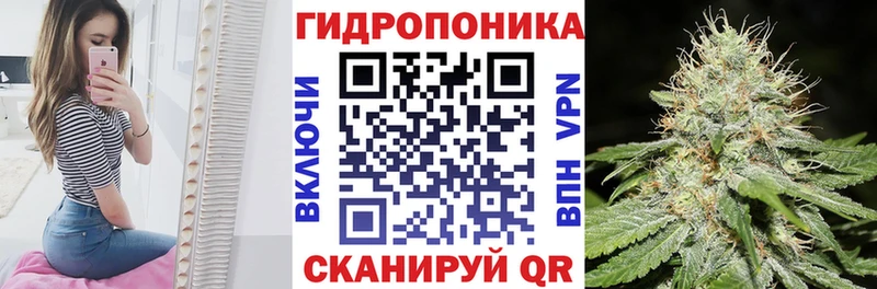 Канабис SATIVA & INDICA  Ак-Довурак 